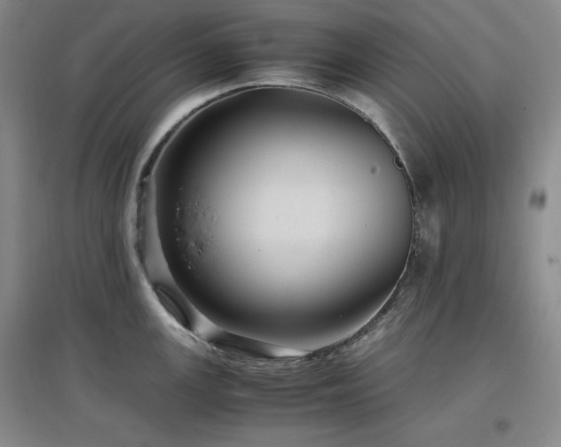 X0000097501147200802221438