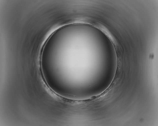 X0000097501148200802221438