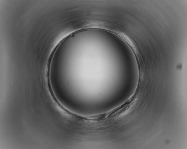 X0000097501149200802221438