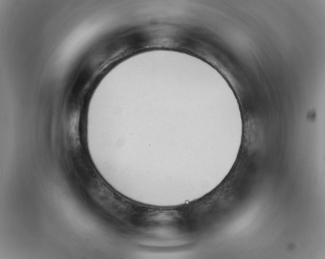 X0000097501150200802221438