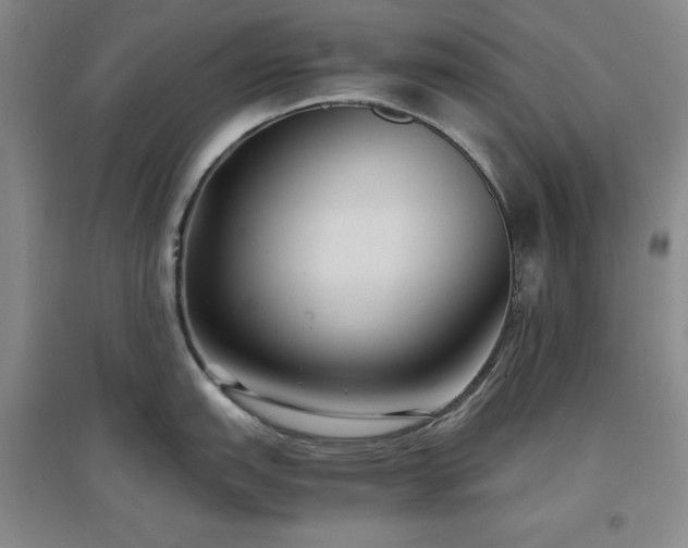 X0000097501151200802221439