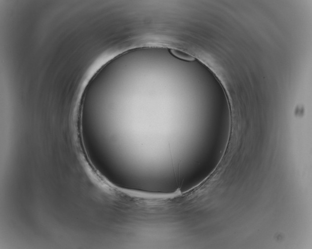 X0000097501152200802221439