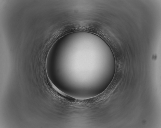 X0000097501153200802221438