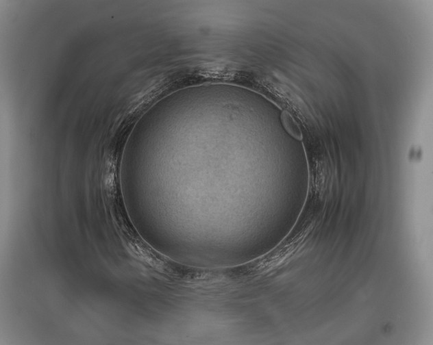 X0000097501154200802221438