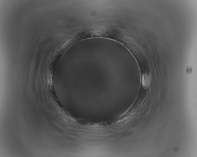 X0000097501155200802221438