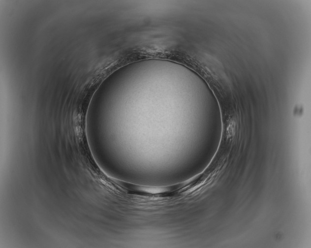 X0000097501156200802221438