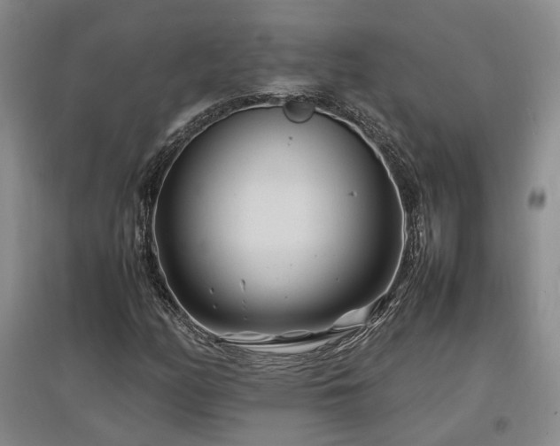 X0000097501158200802221438