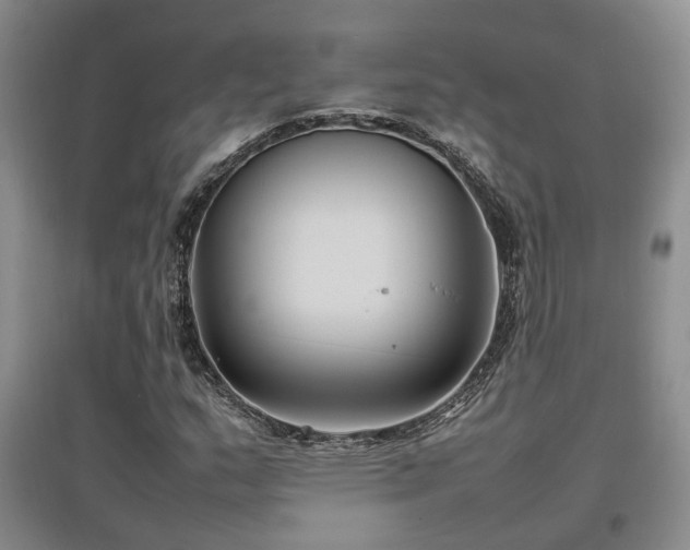 X0000097501159200802221438