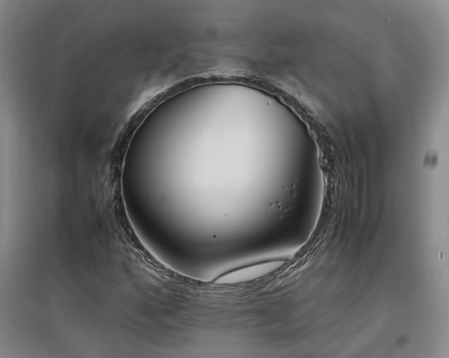 X0000097501160200802221438