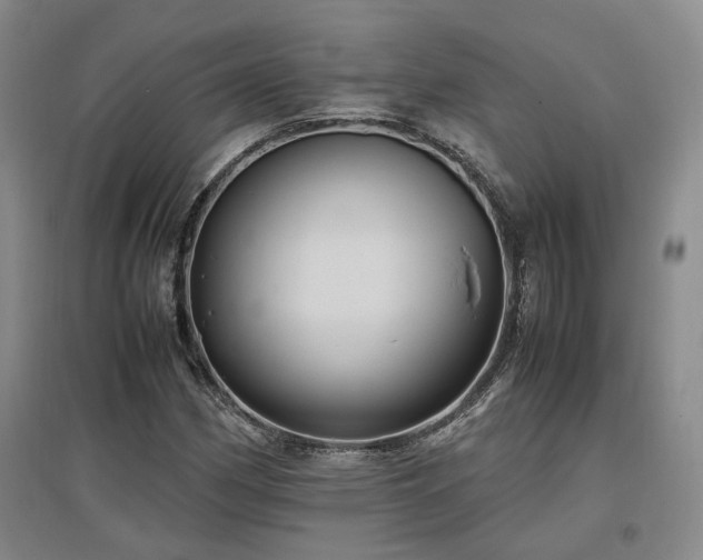 X0000097501162200802221438