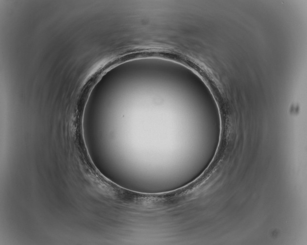 X0000097501163200802221438