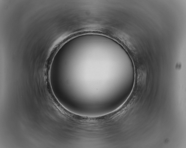 X0000097501164200802221438