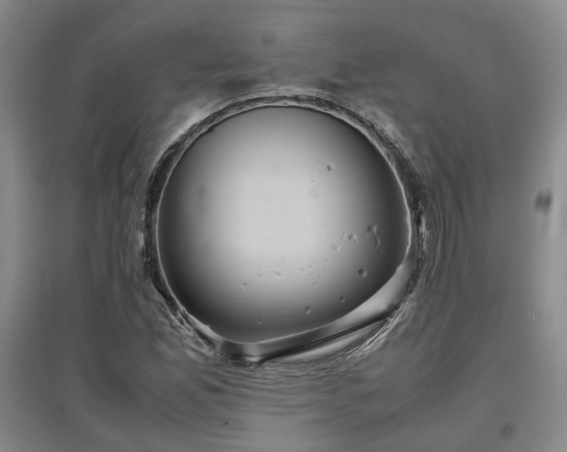 X0000097501165200802221438