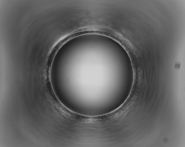 X0000097501166200802221438