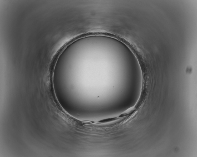 X0000097501167200802221438