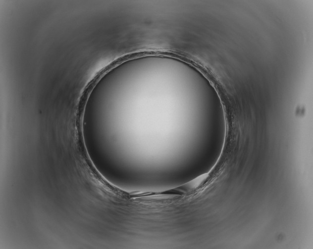 X0000097501168200802221438