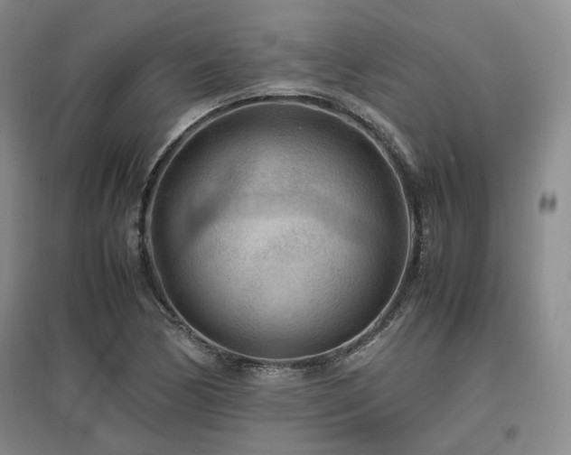 X0000097501170200802221438
