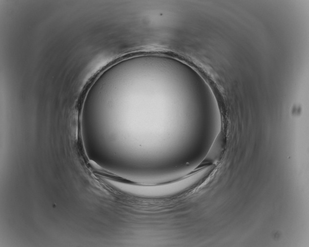 X0000097501171200802221438