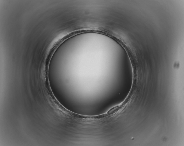 X0000097501172200802221438