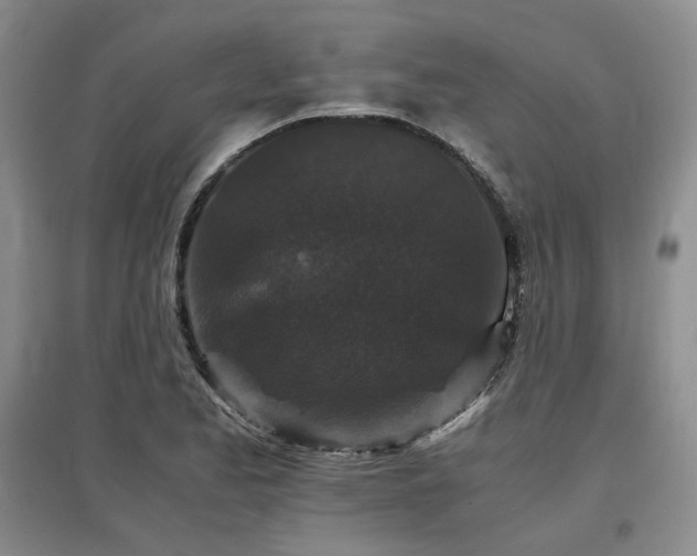 X0000097501173200802221438