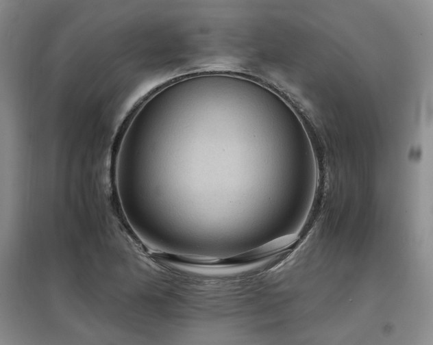 X0000097501174200802221437