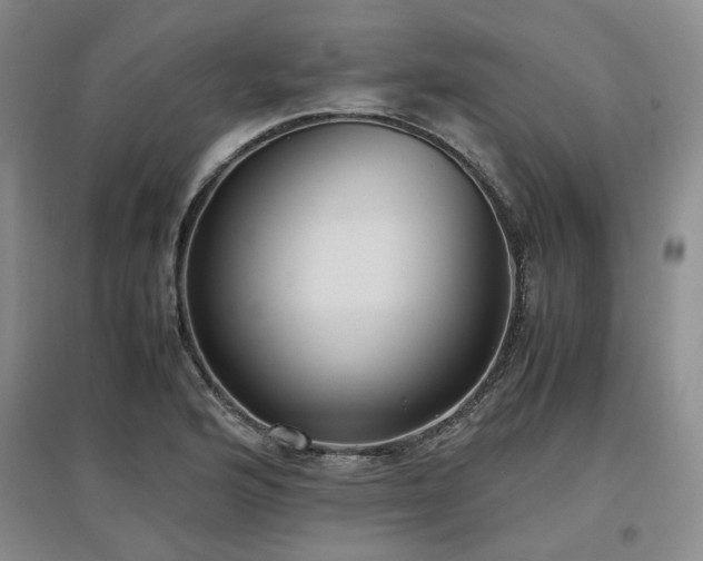 X0000097501176200802221437