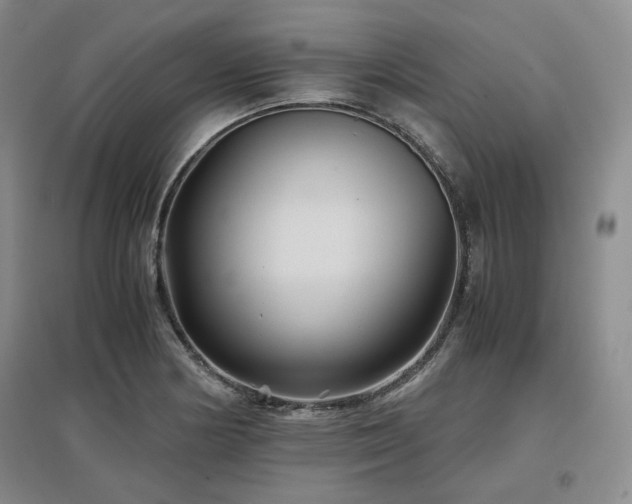 X0000097501178200802221437