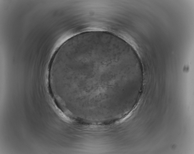 X0000097501179200802221437