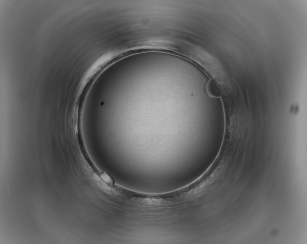 X0000097501180200802221437