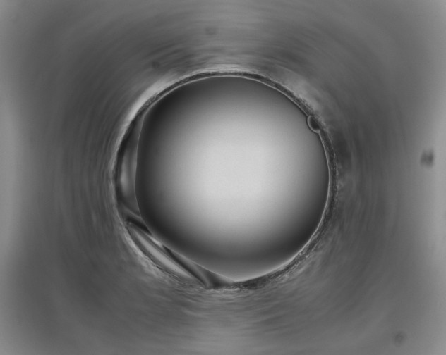 X0000097501181200802221437