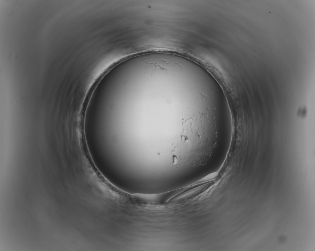 X0000097501182200802221437