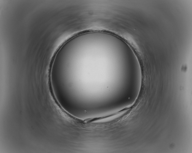 X0000097501183200802221437