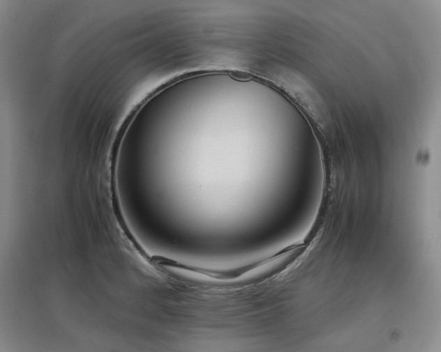 X0000097501184200802221437
