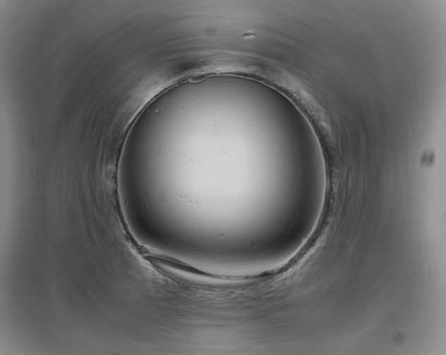 X0000097501185200802221437