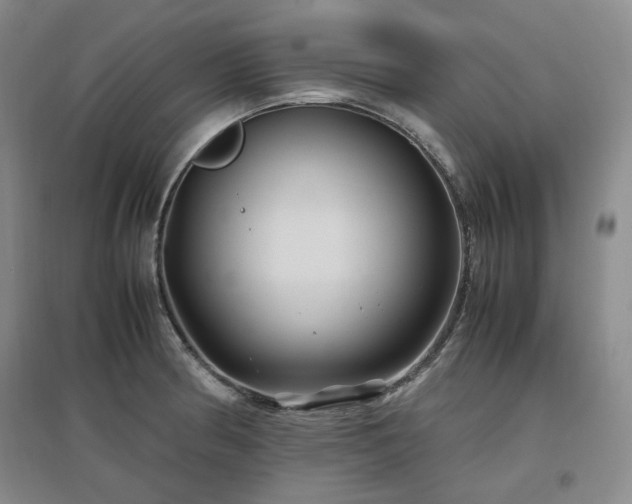 X0000097501186200802221437