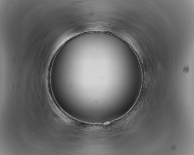 X0000097501187200802221437