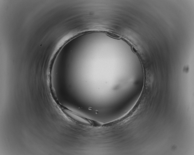 X0000097501188200802221437