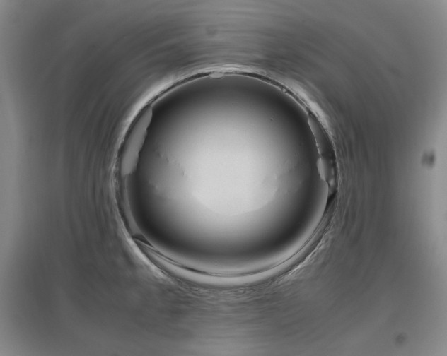 X0000097501189200802221437