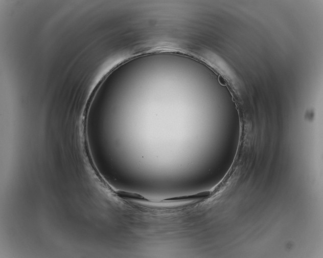 X0000097501190200802221437