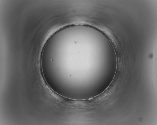 X0000097501191200802221437