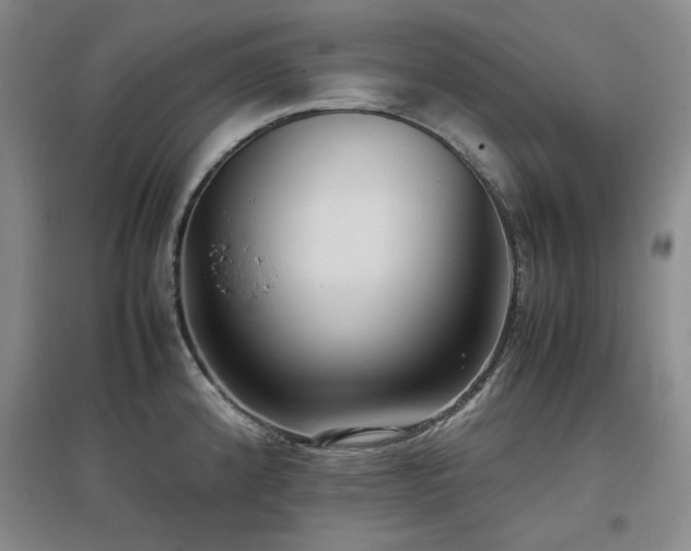 X0000097501192200802221437