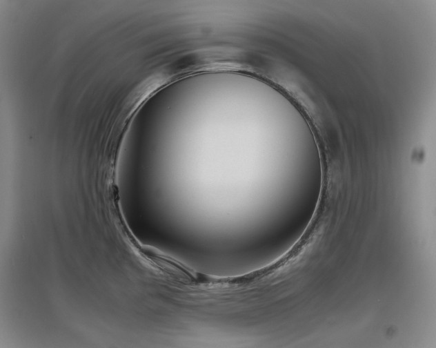 X0000097501193200802221437