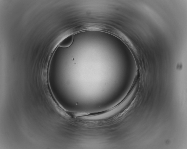 X0000097501194200802221437