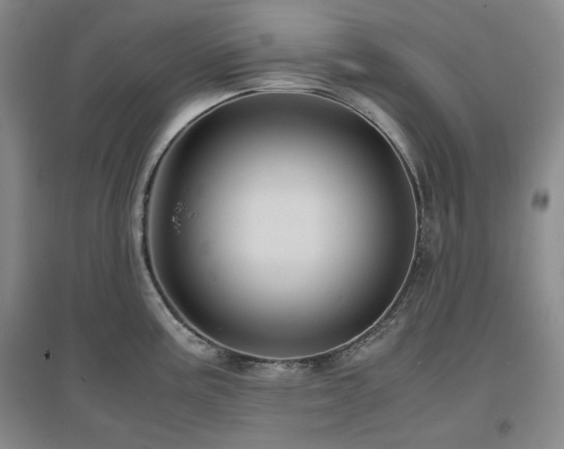 X0000097501195200802221437