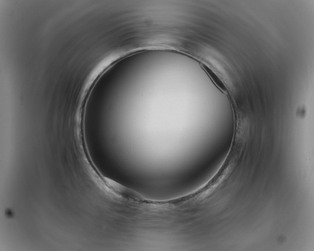 X0000097501196200802221437