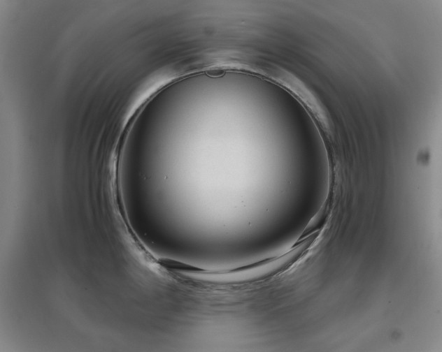 X0000097501198200802221437