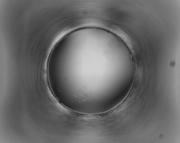 X0000097501199200802221437