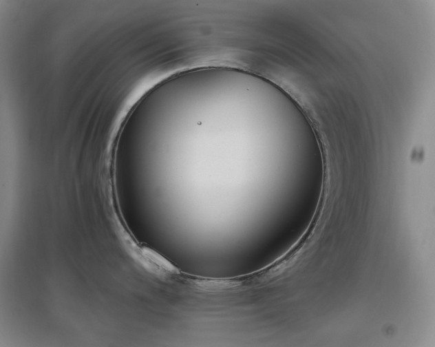 X0000097501200200802221437