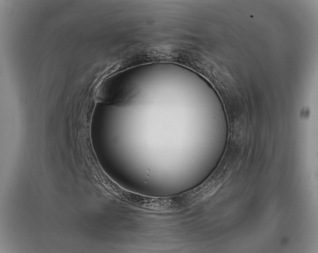 X0000097501201200802221436