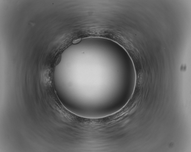 X0000097501202200802221436